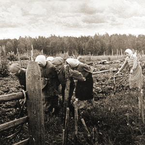 Школьники в поле