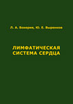 Лимфатическая система сердца Лимфатическая система сердца